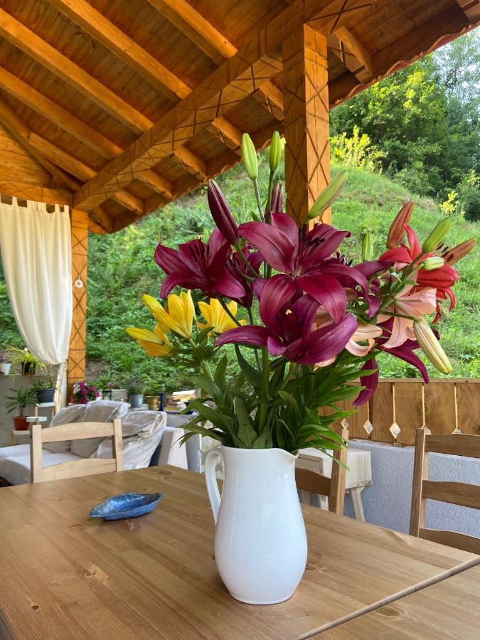 Bed and Breakfast Casa Lila Colti Екстер'єр фото