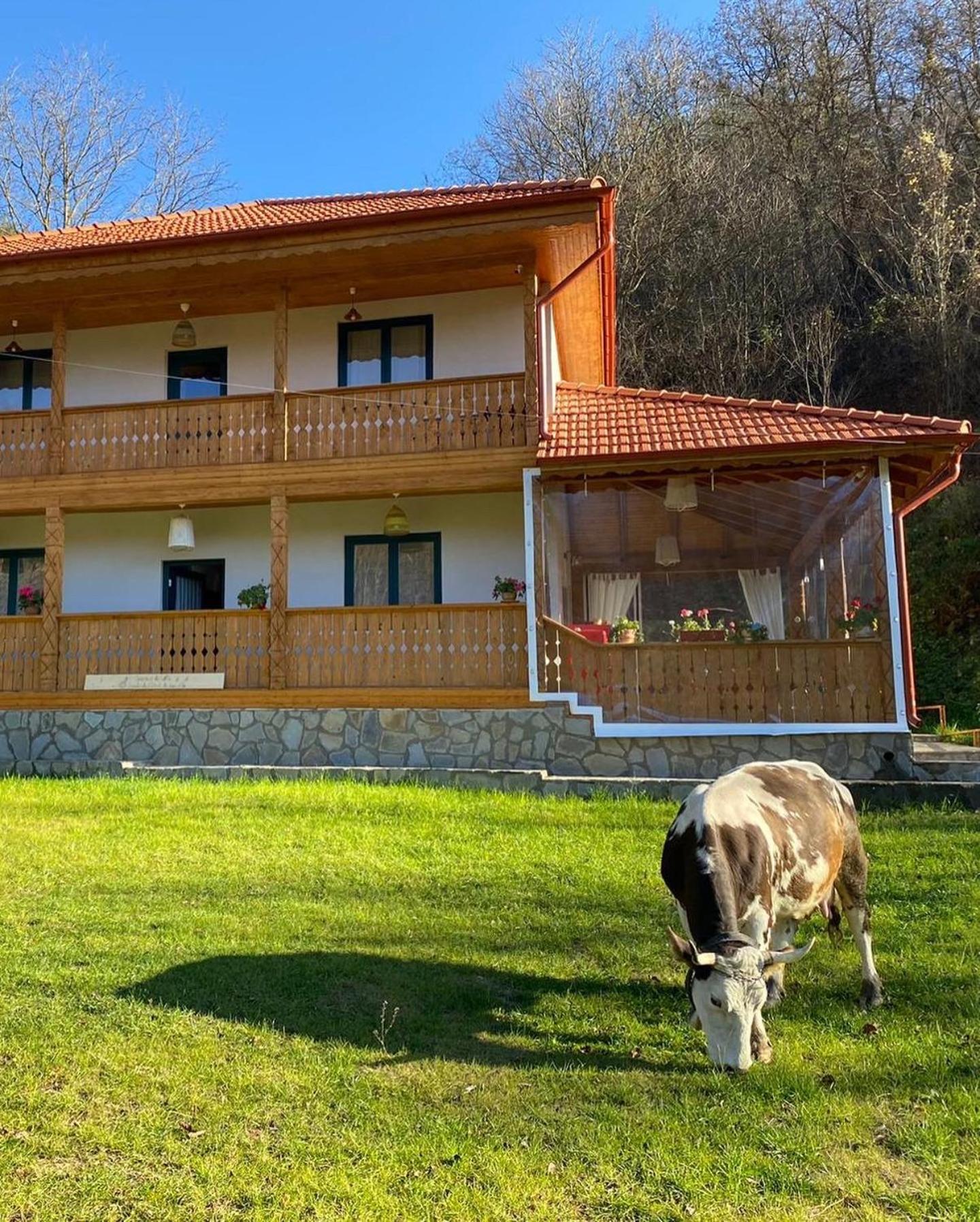 Bed and Breakfast Casa Lila Colti Екстер'єр фото