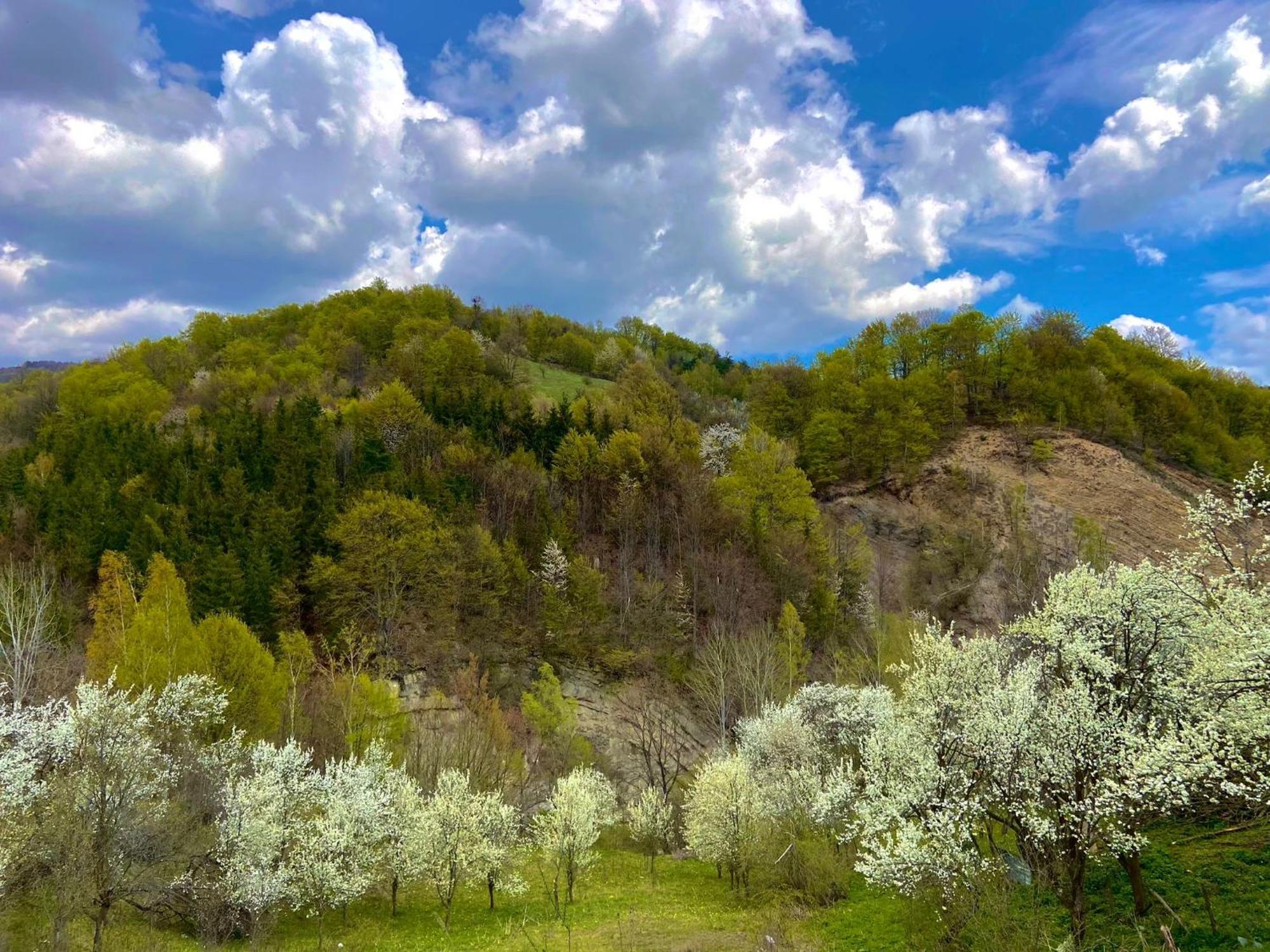 Bed and Breakfast Casa Lila Colti Екстер'єр фото